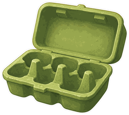 An open egg carton